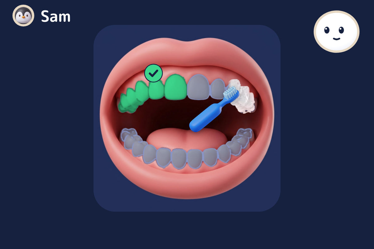 The Little mode screen: one big picture of the part of the mouth to brush